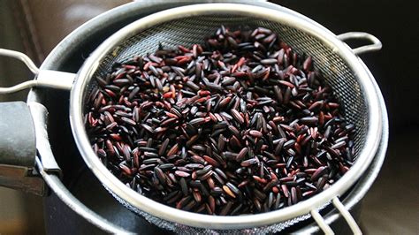 Le Riz Noir Et Ses Bienfaits La Sardine