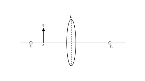 Refraction through a Lens Solutions for ICSE Board Class 10 Physics (Concise - Selina Publishers)