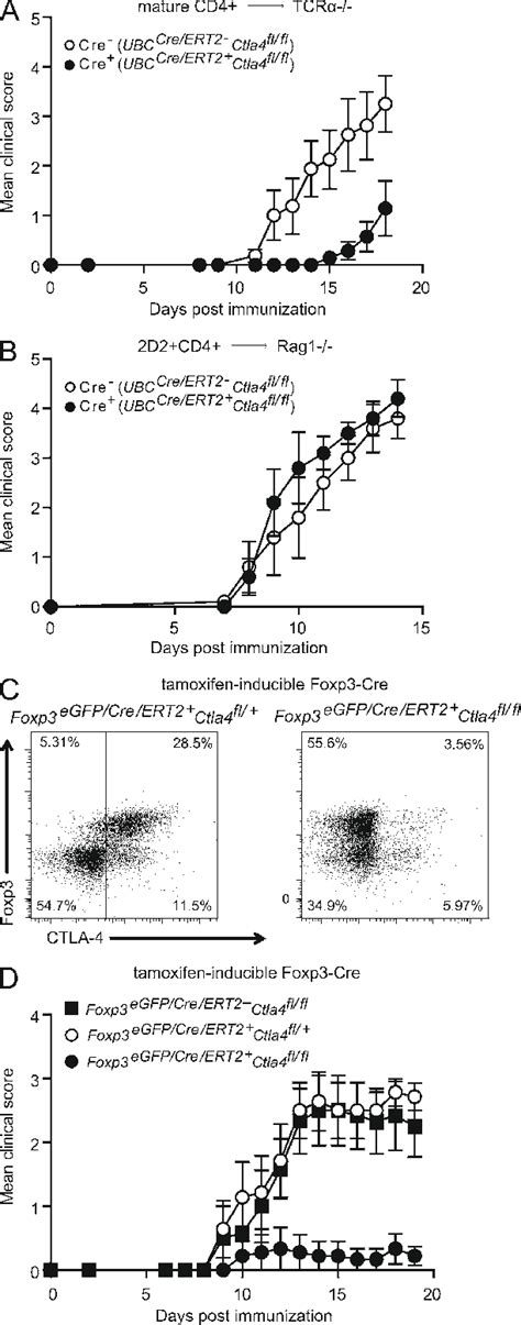 Dependence On Deletion Of Ctla On T Reg Cells For Resistance To Eae