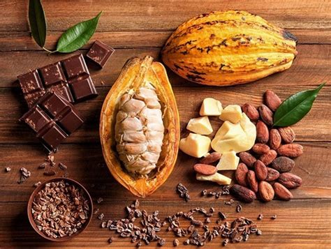 Día del chocolate conoce los atributos nutricionales del cacao y