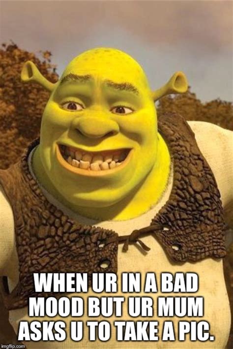 Just Take The Picture Shrek Just Smile And Take It R Wholesomememes