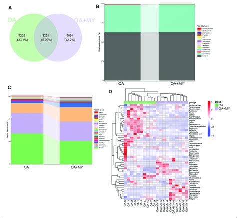 Effects Of MY On The Gut Microbial Composition In OA A Venn