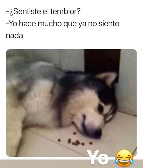 Sentiste El Temblor Yo Hace Mucho Que Ya No Siento Nada Memes