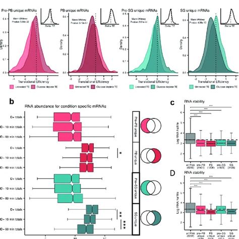 The Translational Efficiency Of Rnas Localized To Condensates Following