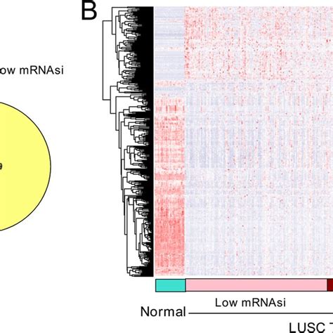 Identification Of Common Differentially Expressed Genes Degs A Venn