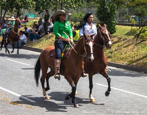 The 27th Annual Horse Parade