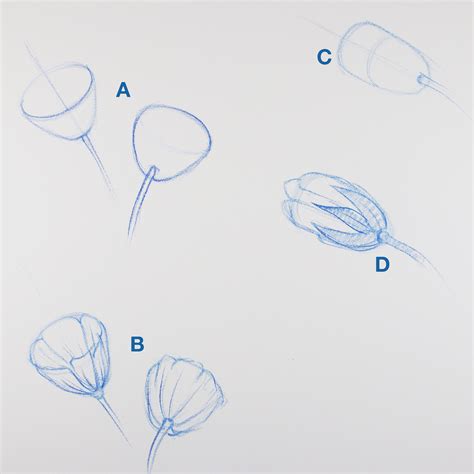 How To Draw Flowers For Beginners Step By Step