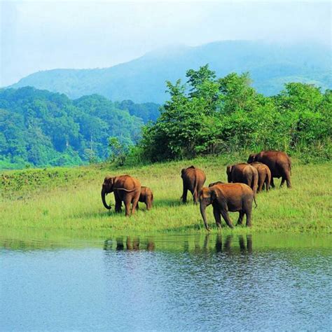 Monsoon special: Here are reasons to visit Goa in Monsoon!