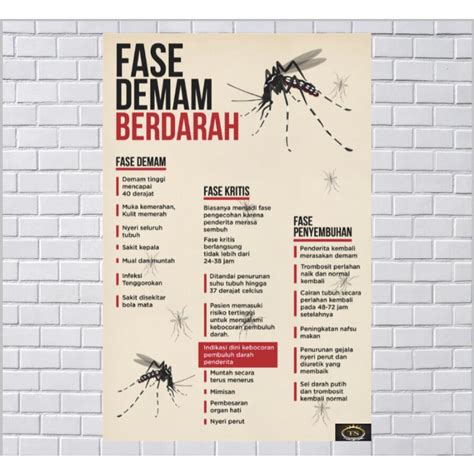 Jual Poster Kesehatan Tentang Fase Demam Berdarah Shopee Indonesia