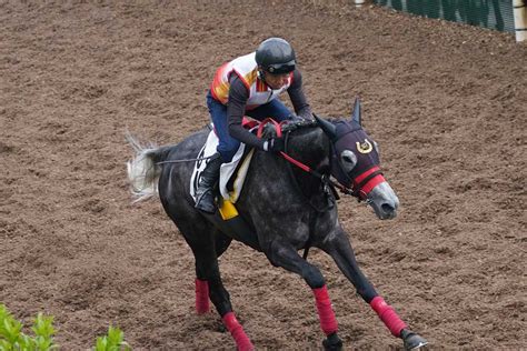 【福島牝馬s】動き〝過去イチ〟コスタボニータ！重賞初制覇へ機は熟した サンスポzbat