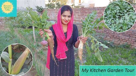 My Kitchen Garden Tour Organic Kitchen Garden Kitchen Garden