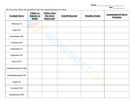 Cranial Nerve Table Worksheet