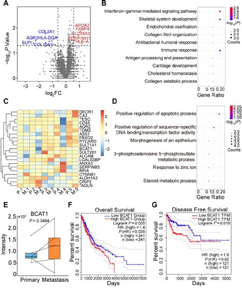 TMT Based Quantitative Proteomic Analysis Of Primary And Metastatic