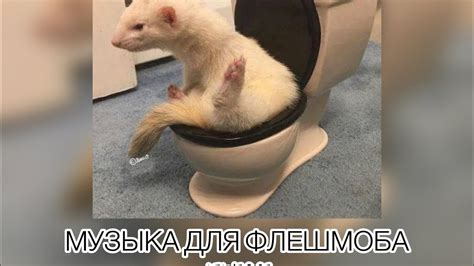 музыка для флешмоба🤍💋 - YouTube