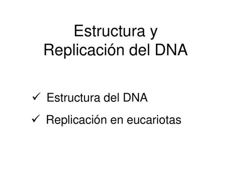 Estructura Y Replicaci N Del Dna Udocz