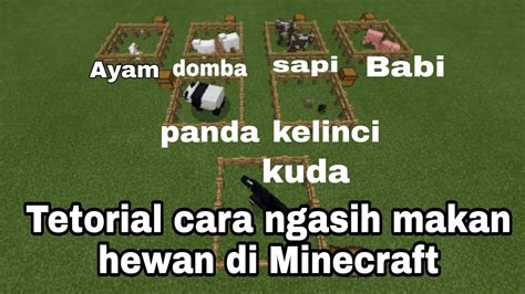 Tutorial Cara Ngasih Makan Hewan Di Minecraft Youtube