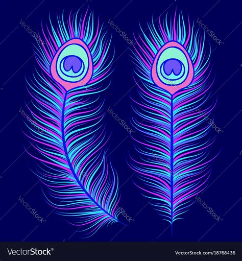 Peacock feathers on dark blue background Vector Image