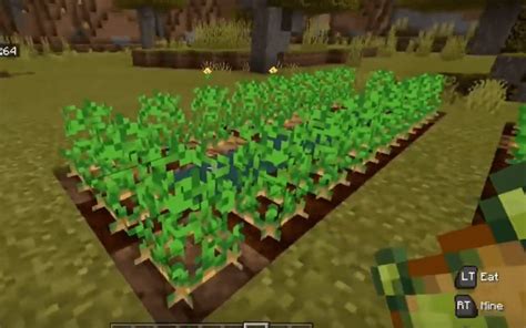 How To Get Potatoes In Minecraft Minecraft Potato Farm