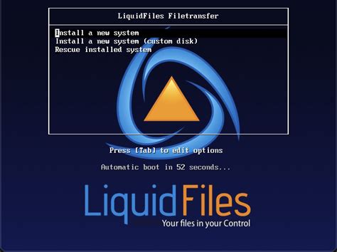 Recommended Disk Partitioning When Using Custom Install Liquidfiles