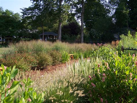 Wetland Restoration Trail — Spaulding Landscape Architects, LLC