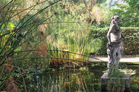 Jardin Serre De La Madone Menton Tourisme Menton Fr Garden