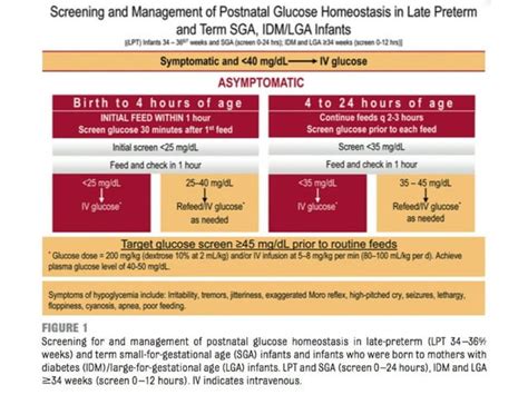 Neonatal Hypoglycemia PPT