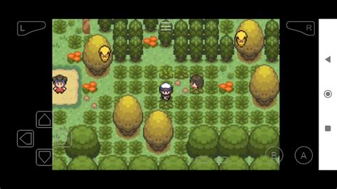 Pokemon Hoenn Adventures 3 Mo01 Corte Desafiamos El Primer Gym Y