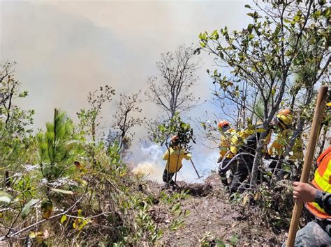 Los Incendios Forestales Afectan M S De Mil Hect Reas En Honduras