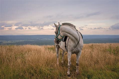 Equine Escape West Virginia By Horseback Highland Outdoors