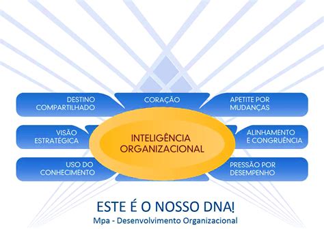 Áreas de Atuação MPA Inteligência Organizacional para Mudar o Mundo