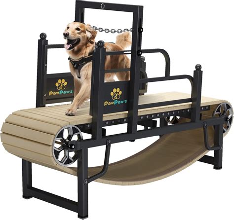 The Best Treadmill For Your Dog - Complete Guide For Beginners