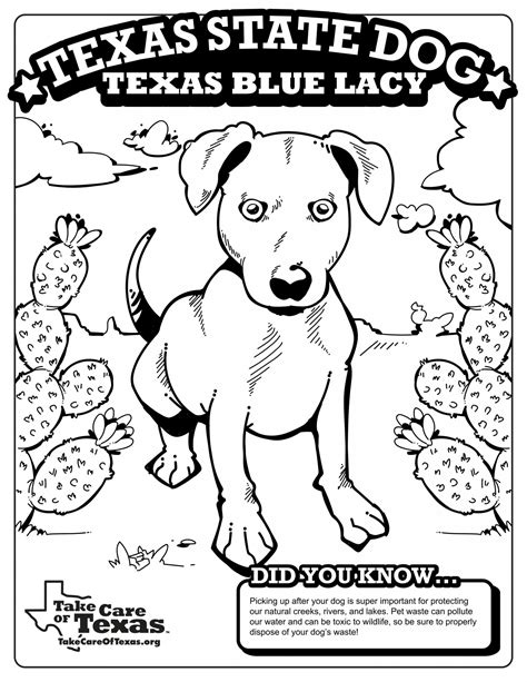 Texas Coloring Pages State Symbols