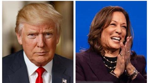 Hasil Survei Terbaru Pemilu AS Kamala Harris Ungguli Donald Trump