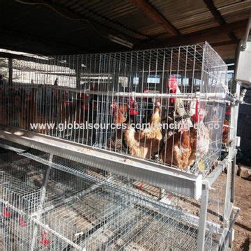 China24 Nests 3 Tier 120 Birds Battery Cages For Chicken Farm Africa On