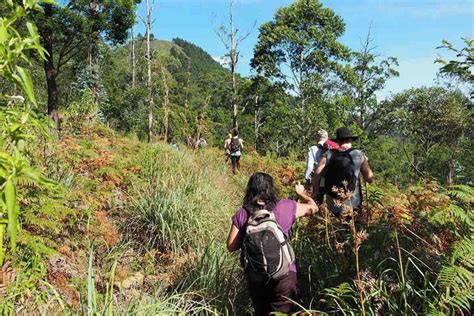 Hiking Tours in Sri Lanka