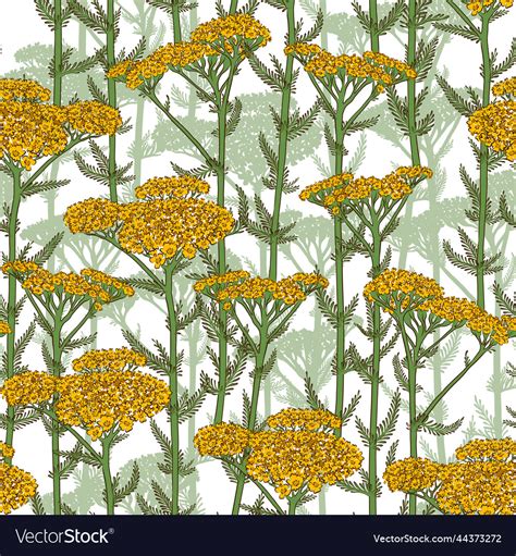 Seamless white pattern with blooming yellow Vector Image