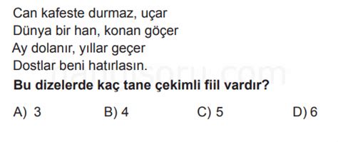 7 Sınıf Türkçe Fiiller Anlam Kip Kişi Anlam Kayması Testi Çöz 2