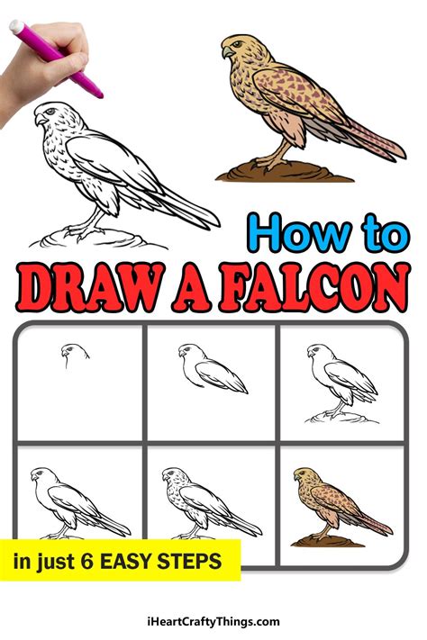 How To Draw A Falcon A Step By Step Guide In 2022 Doodle Art For