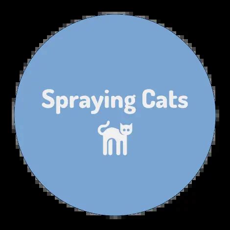 How to stop cat from spraying everywhere. A Helpful Guide - Stop Cats Spraying & Cat Speak