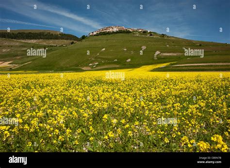 castelluccio norcia lentils  res stock photography  images alamy