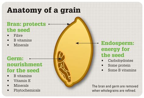 Whole Grains Food List 18 Foods In Pdf Diets Meal Plan