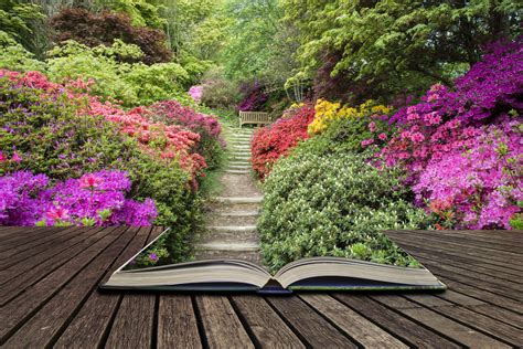 Gardening Books You Should Have | Kellogg Garden Organics™