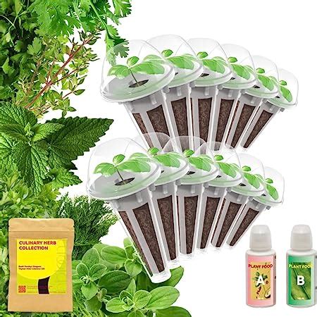 Amazon Inbloom Herb Seed Starter Pod Kit Plant For Aerogarden