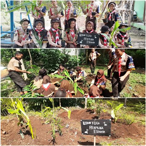 PENANAMAN DAN PEMELIHARAAN POHON