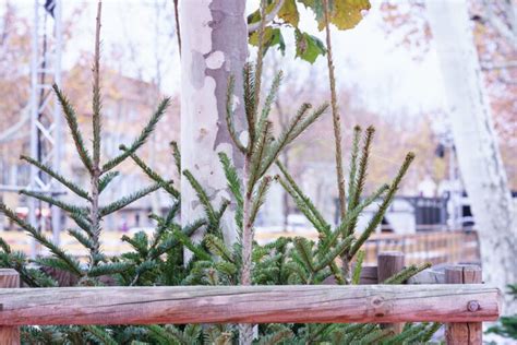 Noël sinvite au marché Ville de Draguignan