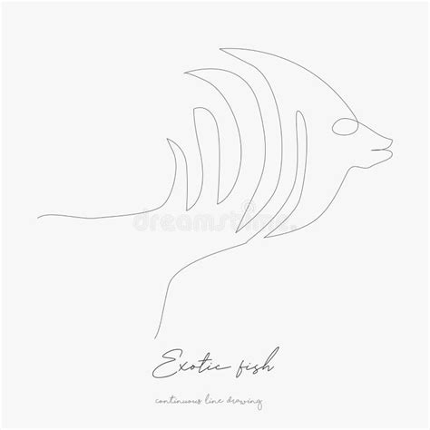 Continuous Line Drawing Exotic Fish Simple Vector Illustration