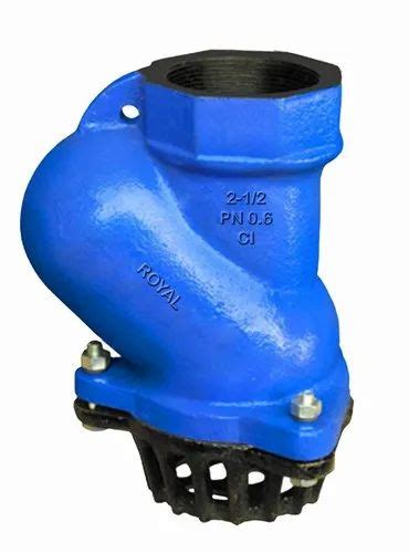 Cast Iron Low Pressure Screw End CI Foot Valve For Fluid Flow Control