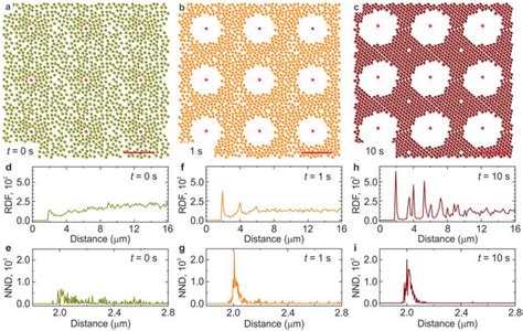 Emergence Of A Global Crystalline State From An Amorphous Matrix Due To