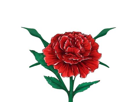 April 25 Portugal Freedom Day Carnation Revolution Red Vector