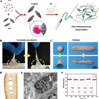 Design Of An Adhesive Hydrogel For Bone Fracture Repair A Schematic